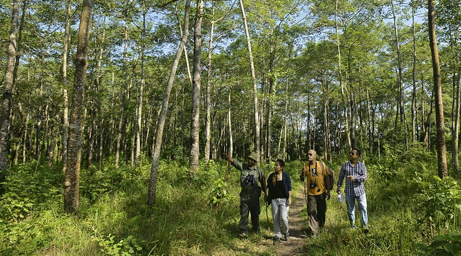 jungle walk in chitwan national park