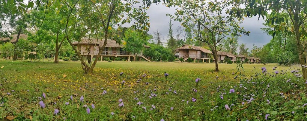 Green Jungle Resort