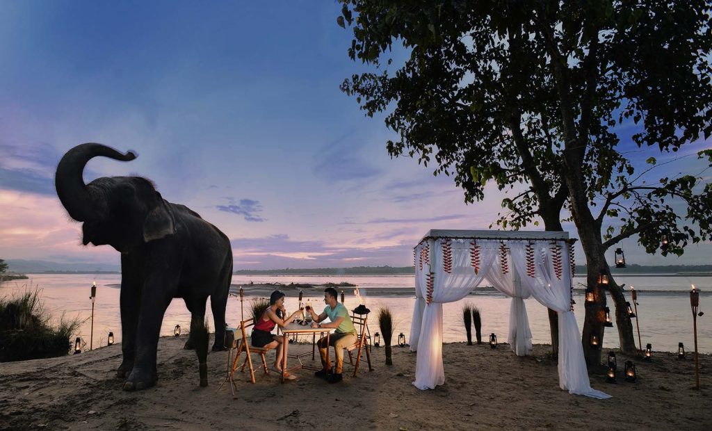 Couple having dinner in luxury hotel and elephant is beside them