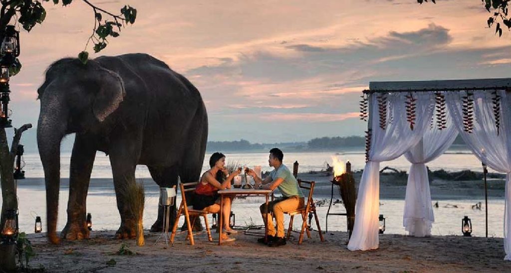 luxury wildlife tour