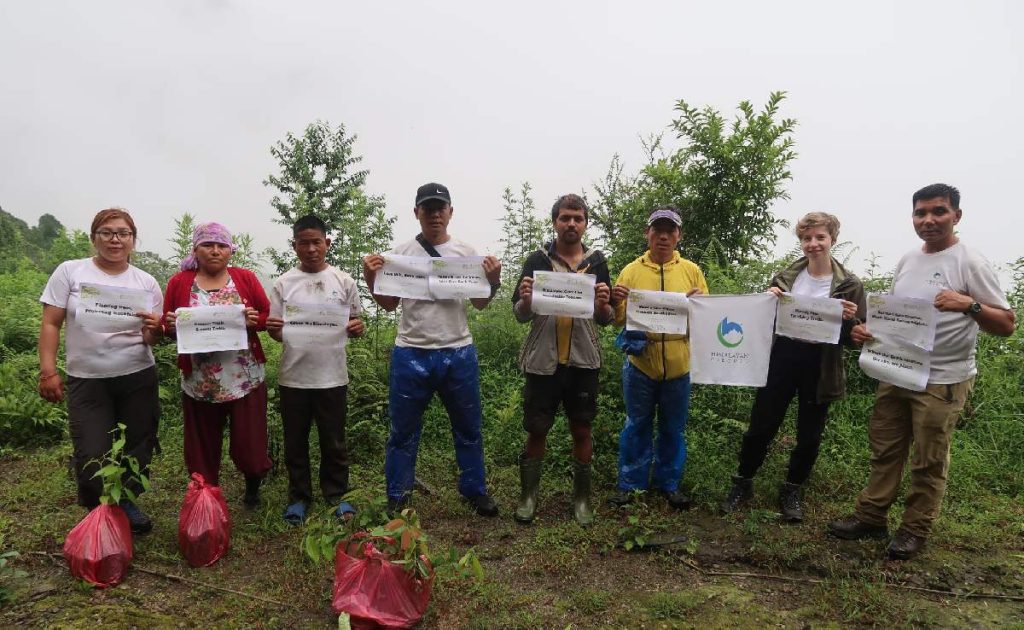 Mardi Himal Tree Planting initiative