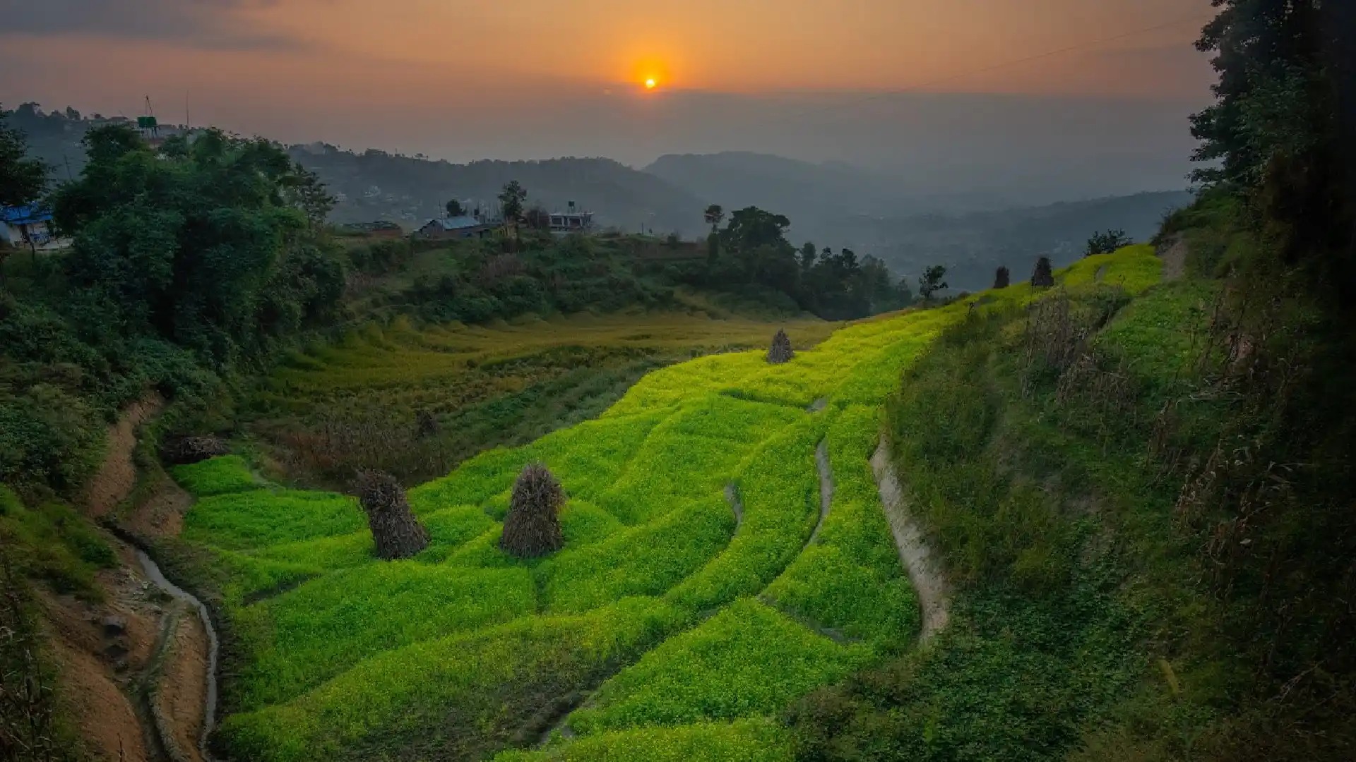 Nature and Landscape