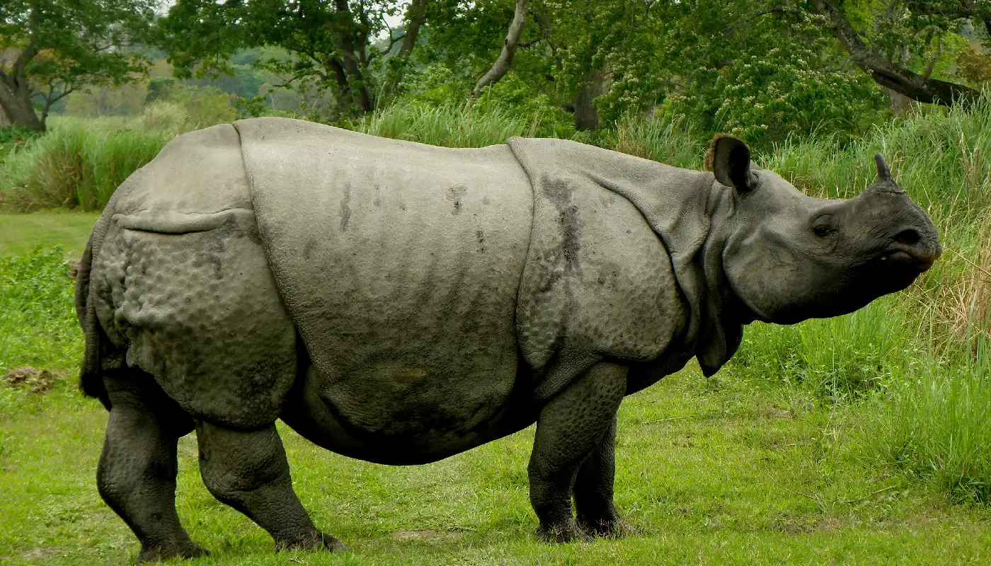 Wildlife Photography Tour