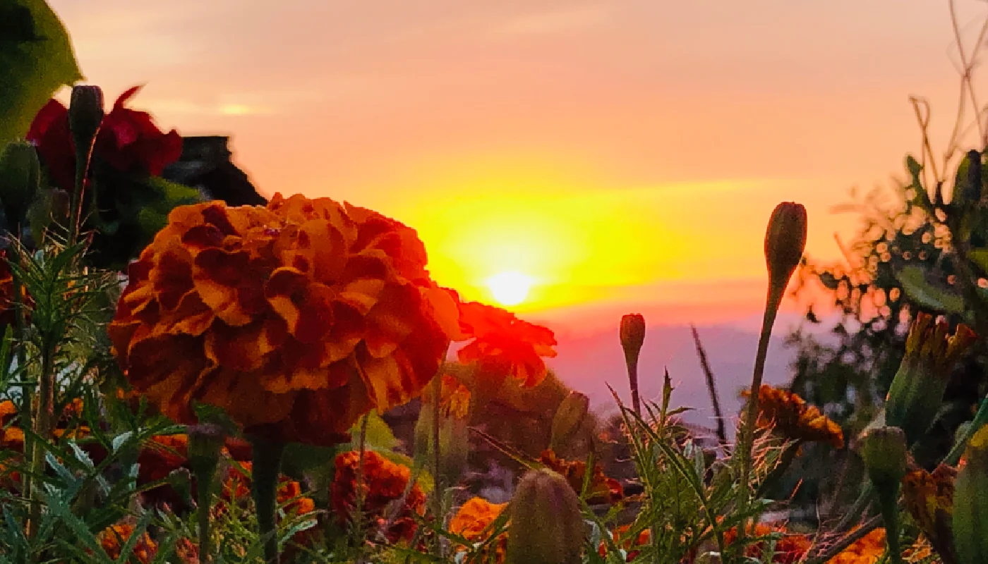 Sunrise & Sunset Tour