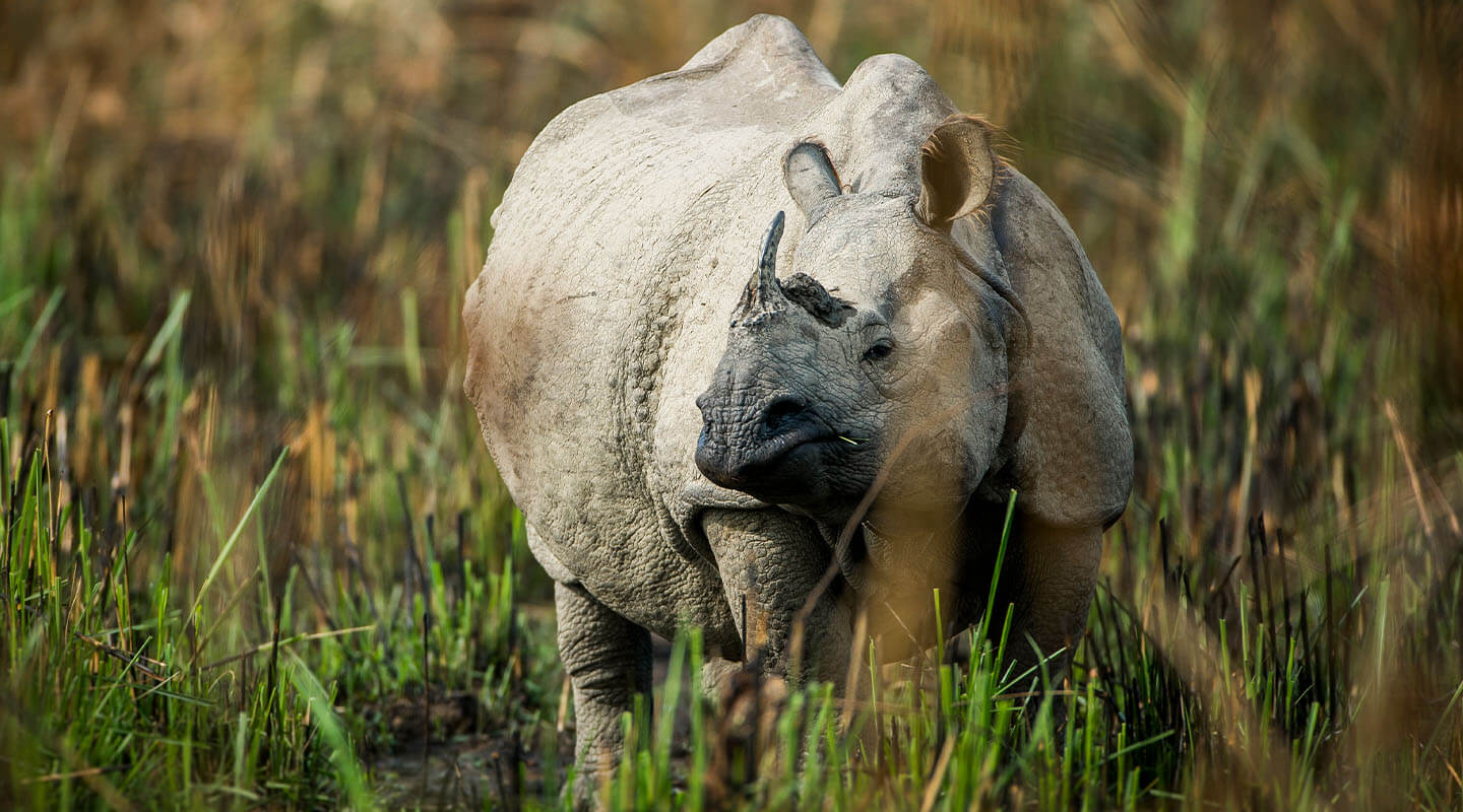 Wildlife Photography Tour